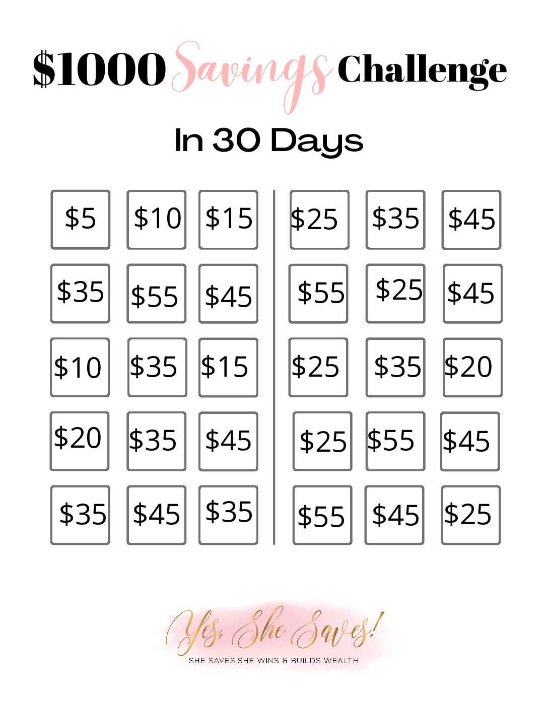 YSS $1000 Emergency Savings Tracker