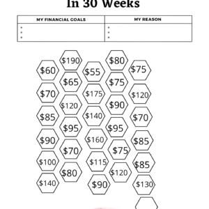 YSS $3000 Saving Tracker