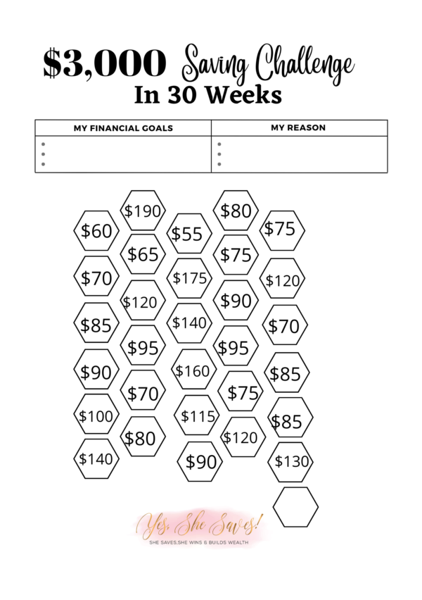 YSS $3000 Saving Tracker